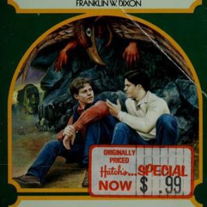 the hardy boys # 65 - the stone idol