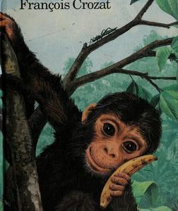 I Am A Little Monkey