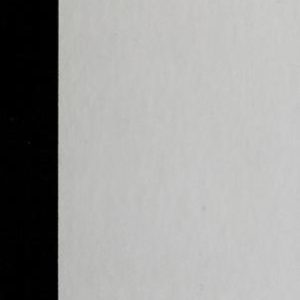 Star Trek TNG -Crossover