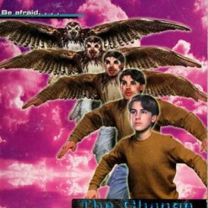 Animorphs # 13  The Change