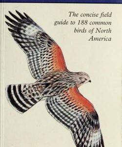 Peterson First Guides BIRDS