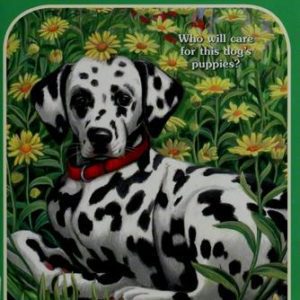 dalmation in the daisies