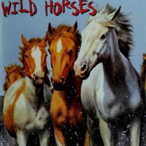 Wild Horses