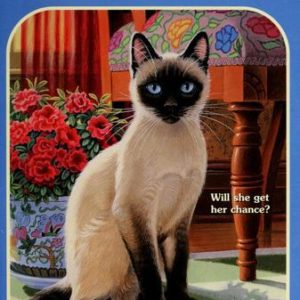 Animal Ark # 40 - Siamese in the Sun