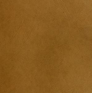 The Draft Horse Primer