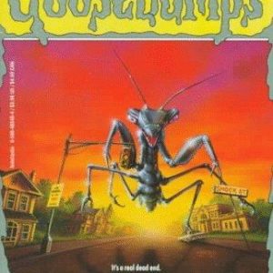 Goosebumps # 35 The Shock On Shock Street