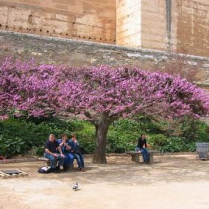 Caroline Zucker Meets Her Match