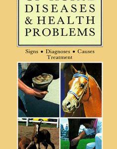 A-Z Of Horse Diseases & Health Problems
