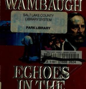 Echos In The Darkness