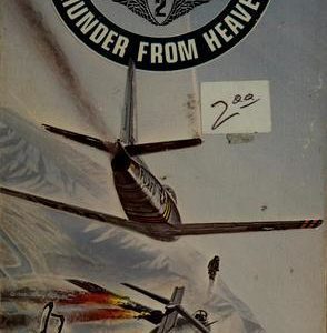 Storm-Birds-thunder from Heaven