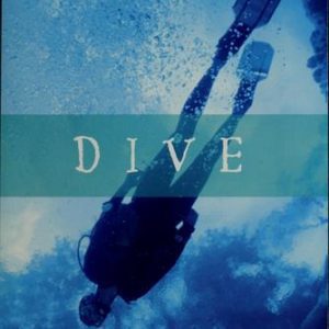 Dive #1 The Discovery