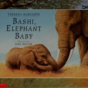 bashi, elephant baby