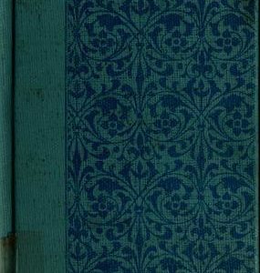 choose your own adventure #8-deadwood city