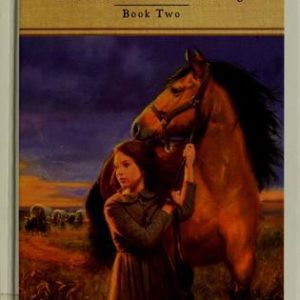 hoofbeats katie and the mustang # 2