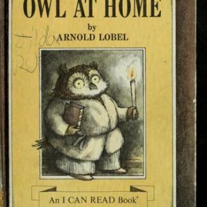 Owl at home