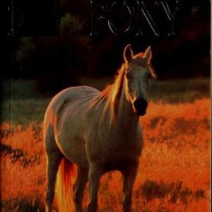 sandy lane stables # 5- dream pony