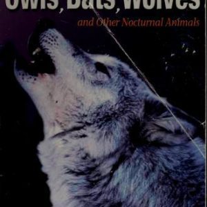 owls, bats, wolves and other nocturnal animals