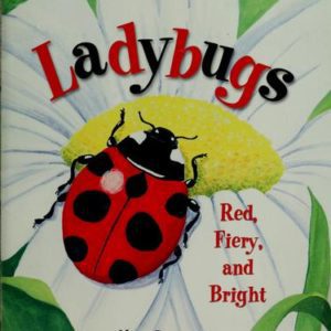 ladybugs - red,fiery and bright