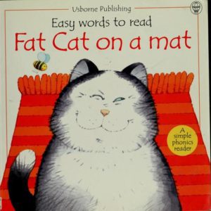 easy words to read : fat cat on a mat