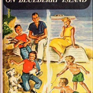 The Bobbsey Twins on Blueberry Island