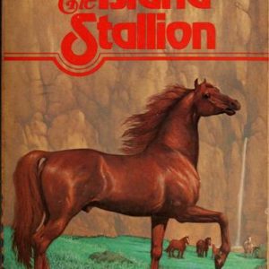 The Island Stallion