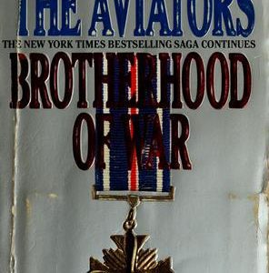 Brotherhood of War - The Aviators