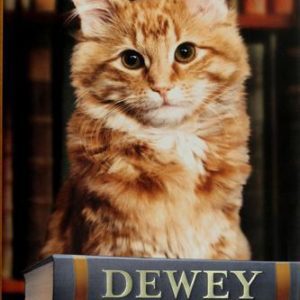 dewey