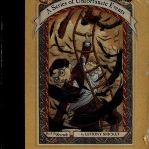 A Series of Unfortunate Events # 7  the vile village