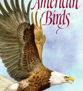 North American birds