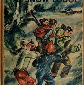 The Mystery at snow lodge