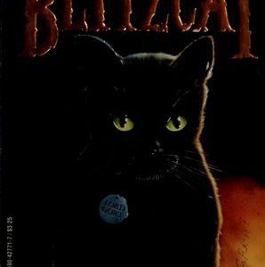 Blitzcat