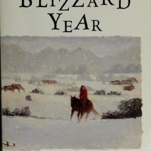 a Blizzard Year