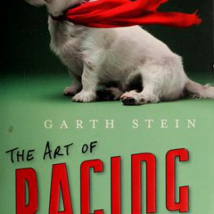 The Art of Racing In The Rain