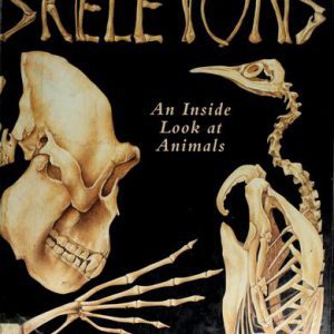 Skeletons: An Inside Look at Animals