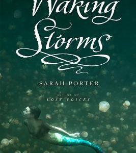 Lost Voices #2 - Walking Storms