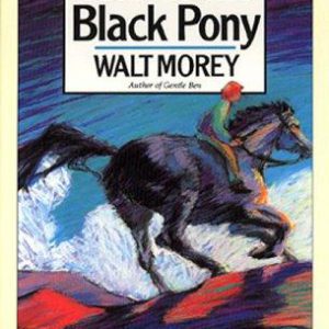 year of the black pony