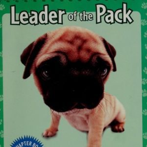 artlist the dog - leader of the pack