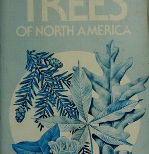 a guide to field identification trees of north america