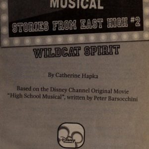 highschool  musical # 2- wildcat spirit