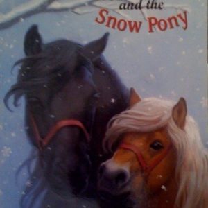 Sheltie And The Snow Pony