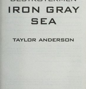 Destroyermen - iron gray sea