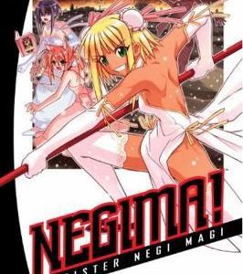 negima! Magister neg I #  30