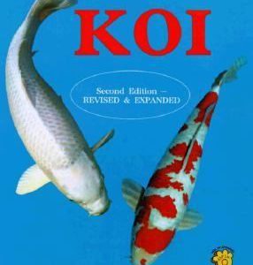the cult of the koi