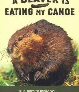 a beaver is eating my canoe