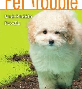 Pet trouble - mud - puddle poodle