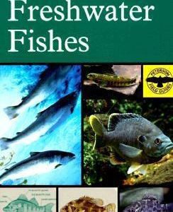 Freshwater Fishes - Peterson