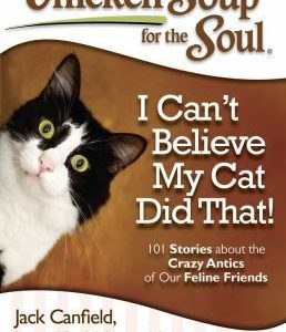 chicken soup for the soul - I can't believe my cat did that!