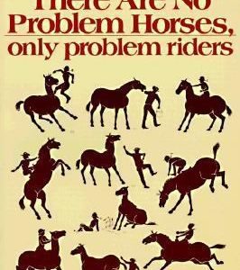 There Are No Problem Horses, Only Problem Riders