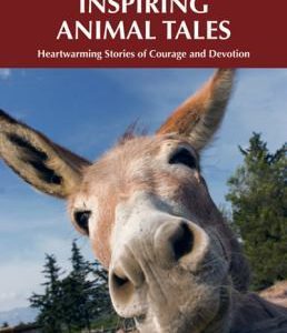 amazing stories - inspiring animal tales