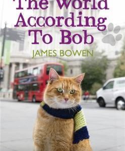 the world according to bob